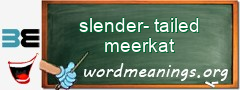 WordMeaning blackboard for slender-tailed meerkat